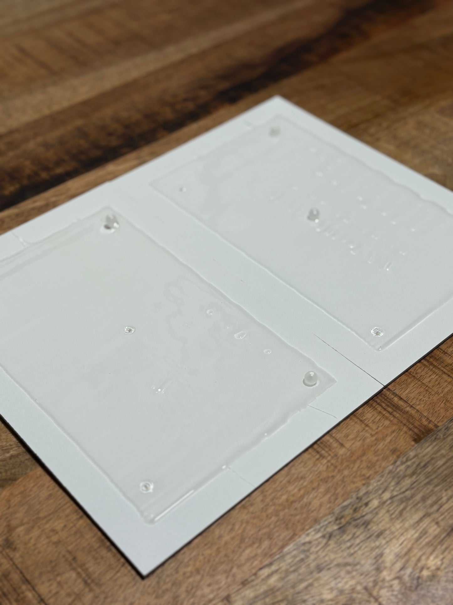 Plaque de glu carton - robuste (lot de 2)