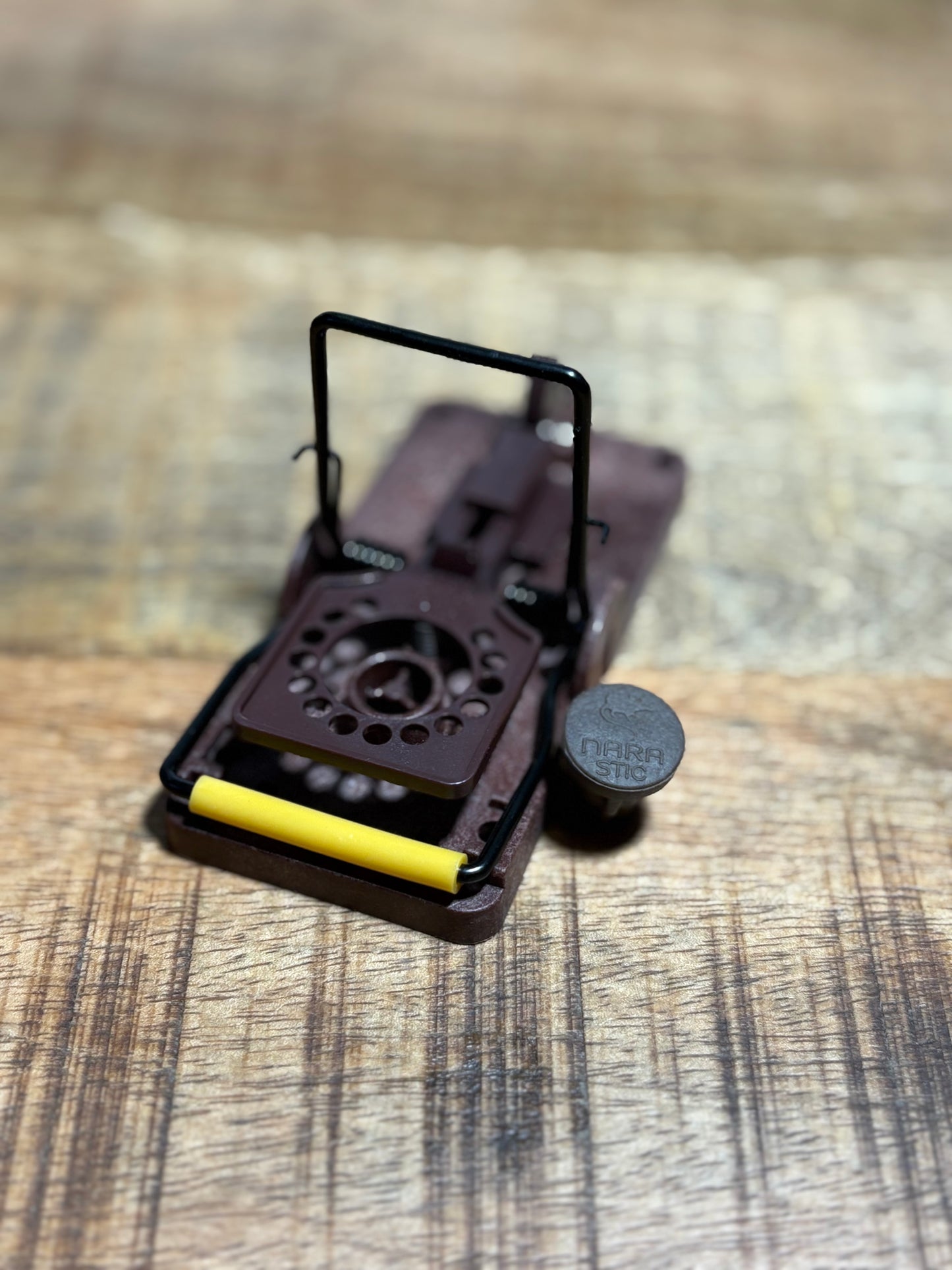 Tapette à souris GORILLA TRAP (lot de 3)