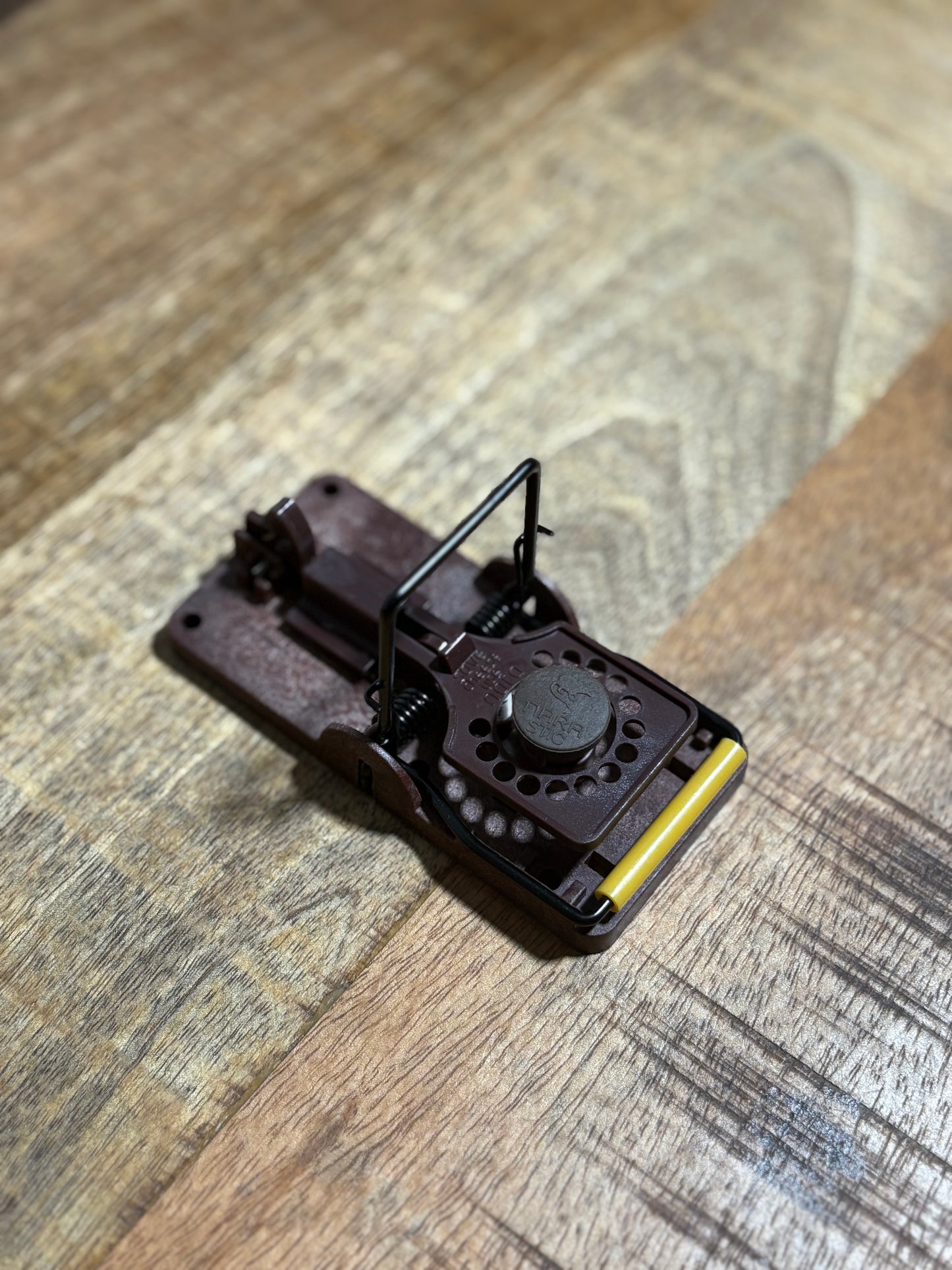 Tapette à souris GORILLA TRAP (lot de 3)