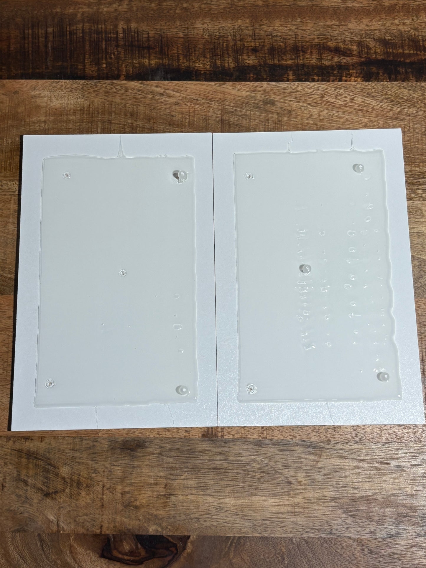 Plaque de glu carton - robuste (lot de 2)